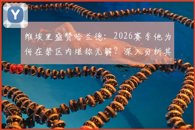 维埃里盛赞哈兰德：2026赛季他为何在禁区内堪称无解？深入分析其进球效率与技术特点